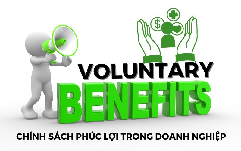 Quản lý tiền lương và chính sách phúc lợi tài chính doanh nghiệp