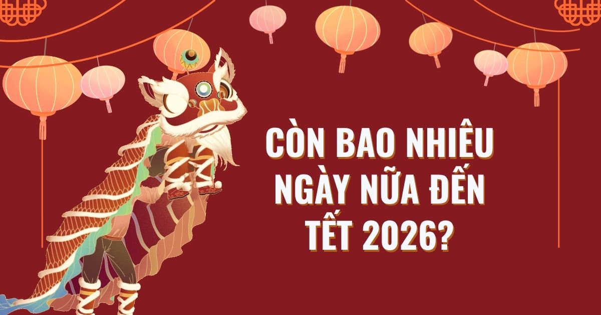 Còn bao nhiêu ngày nữa đến Tết 2026? Lịch nghỉ Tết Nguyên đán Bính Ngọ 2026